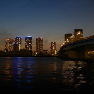 toyosu