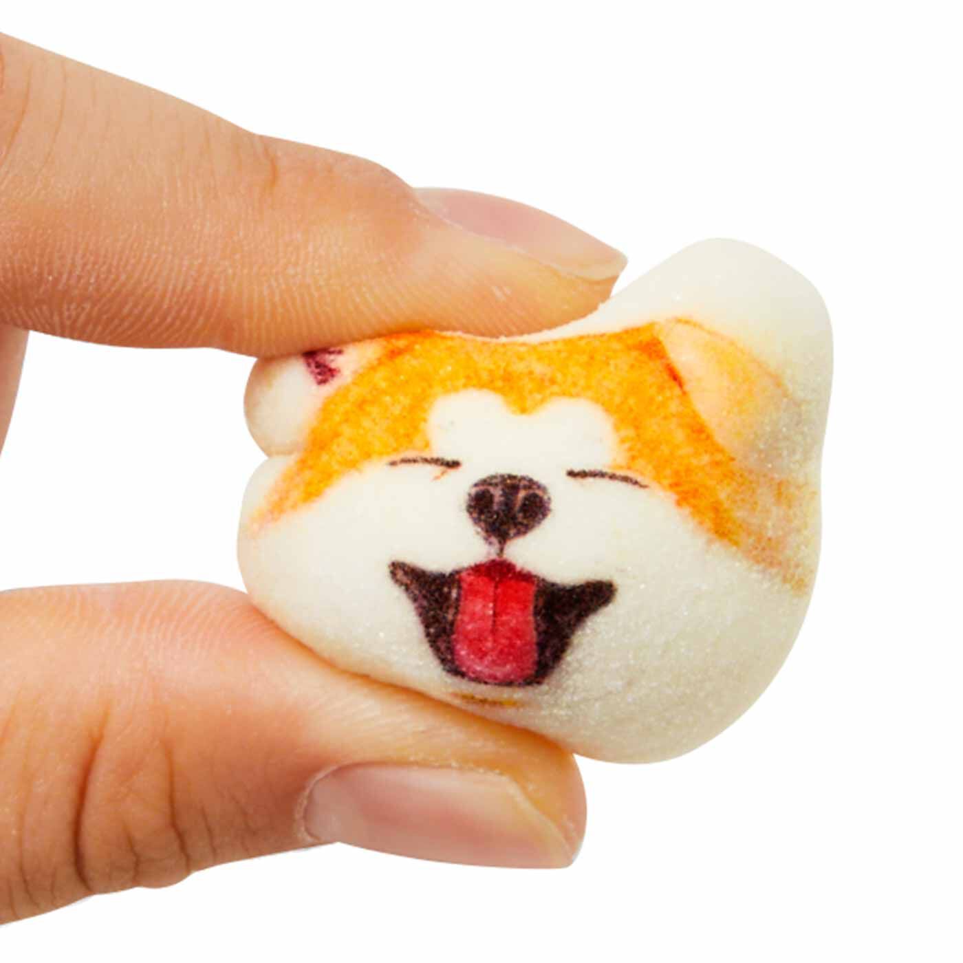 308820-productcuts-03-99999999-S