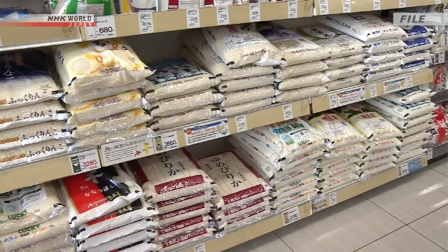 20250428_B4_1519972_L