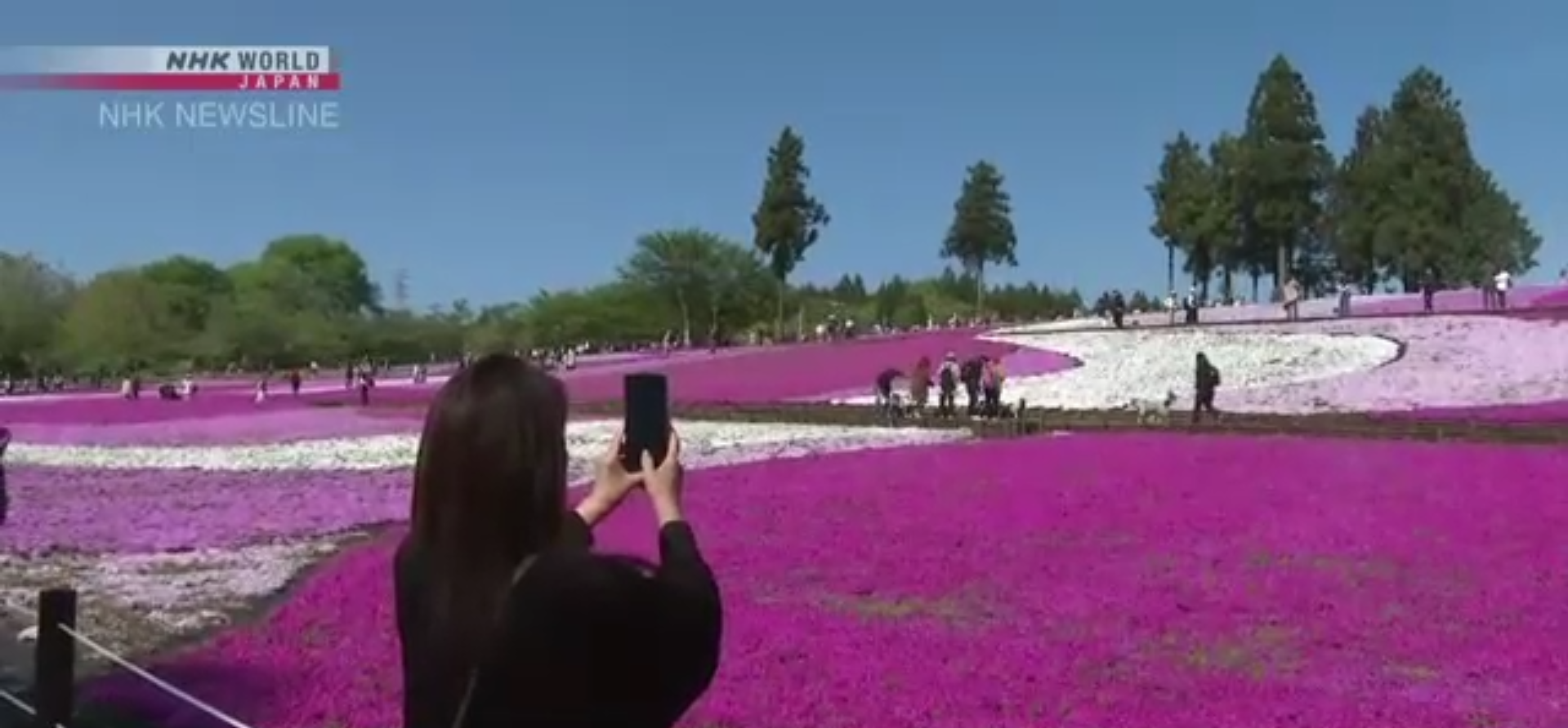 Screenshot 2025-04-27 190001