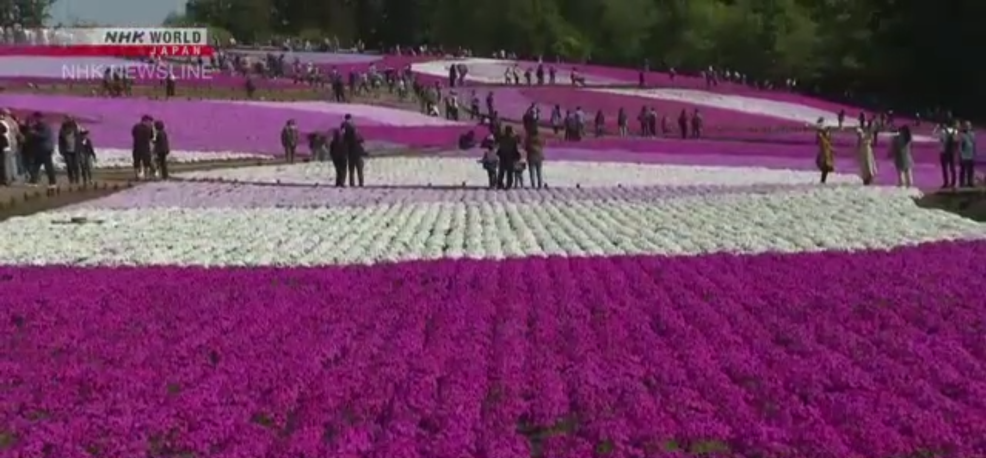 Screenshot 2025-04-27 190126