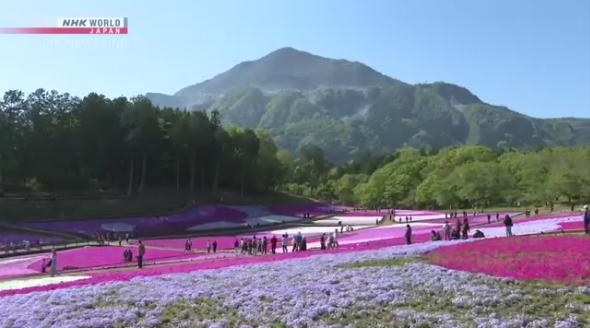 Screenshot 2025-04-27 190215