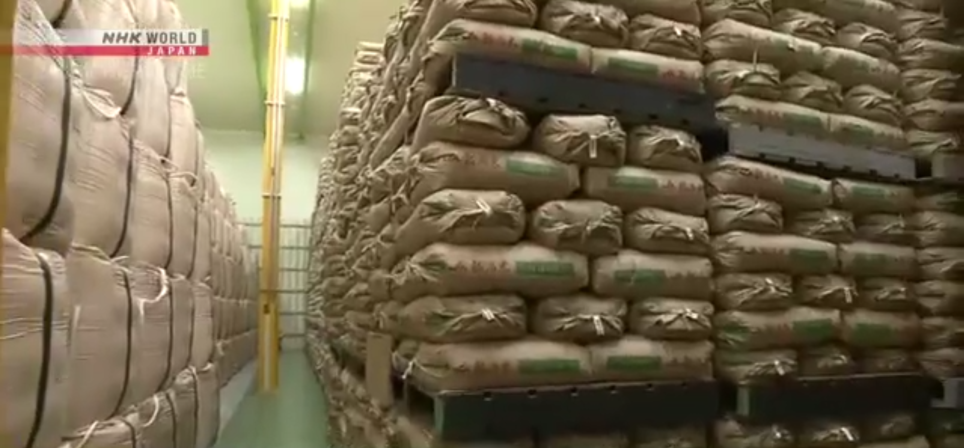 Screenshot 2025-04-29 080910