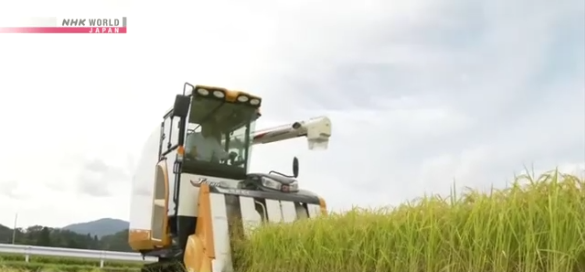 Screenshot 2025-04-29 081210