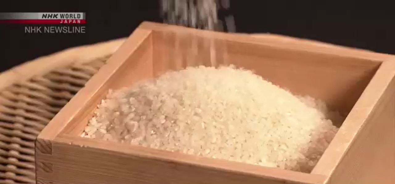 WhatsApp Image 2025-05-26 at 07.49.31_66666494