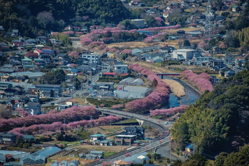 Izu-4